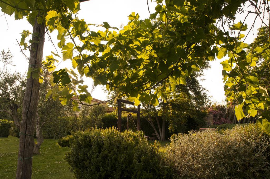 Podere Turicchio Orbetello Dış mekan fotoğraf